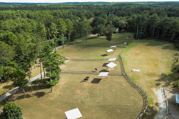 An aerial view of a large, fenced field with a few covered shelters, some horses, and surrounding dense forest. The landscape appears rural.