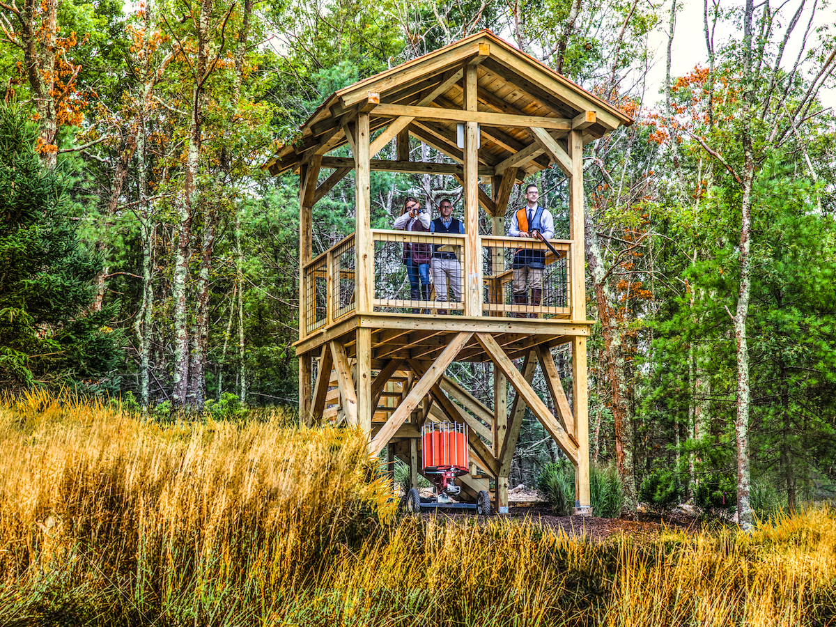 A wooden lookout tower in a forested area with people standing on the second level observing the scenery. The surrounding area is lush and green.