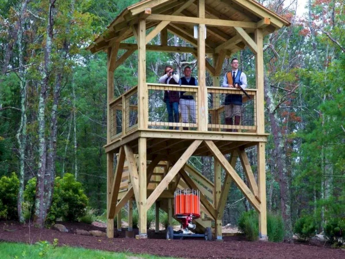 A wooden observation tower in a forest, with three people standing on the upper level and a small orange object at the base, framed by trees and greenery.