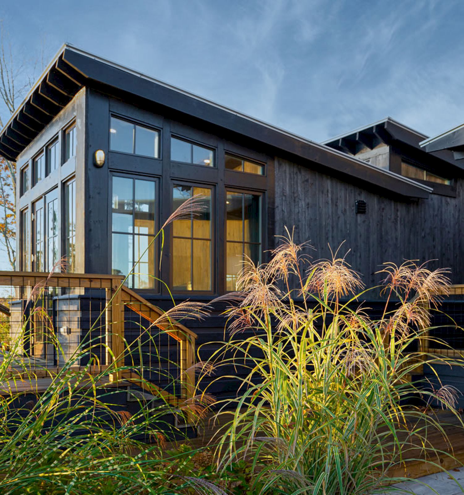 A modern house with large windows, wooden exterior, and a porch surrounded by tall grass and plants under a clear sky in a natural setting.