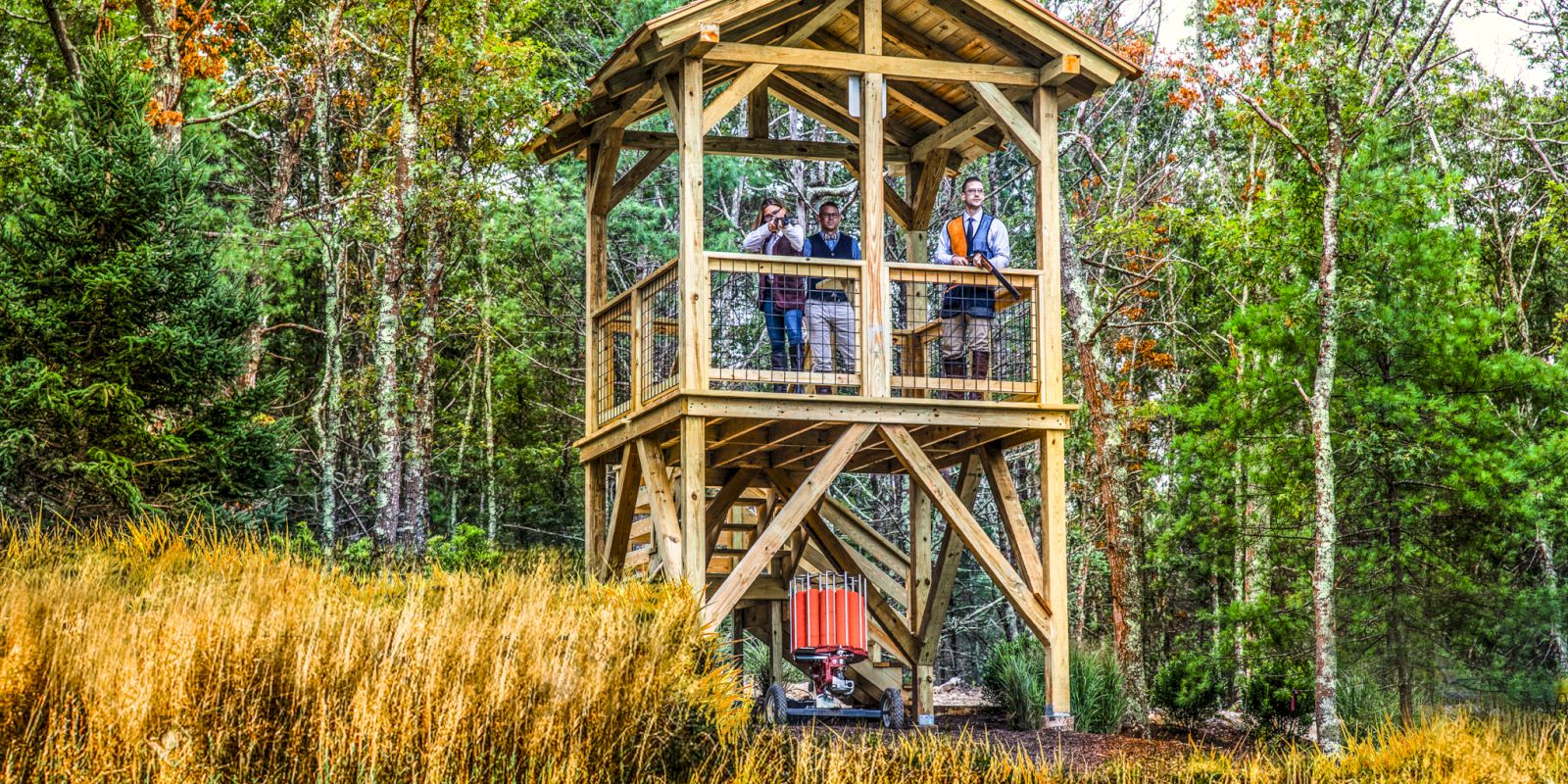 A wooden observation tower stands in a forested area, with several people inside it, surrounded by trees and tall grass on a clear day.