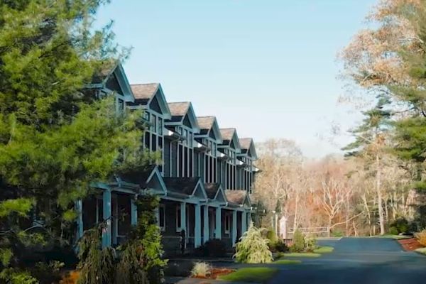 Row of townhouses with pitched roofs, trees in the foreground, clear sky, and a calm neighborhood road in the background.