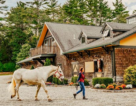 A person leads a white horse past a rustic barn surrounded by a scenic, wooded area and landscaped shrubs and flowers.