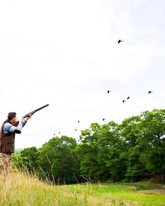 A person is aiming a shotgun at a flock of birds in flight over a grassy and wooded area, with trees in the background under a partly cloudy sky.