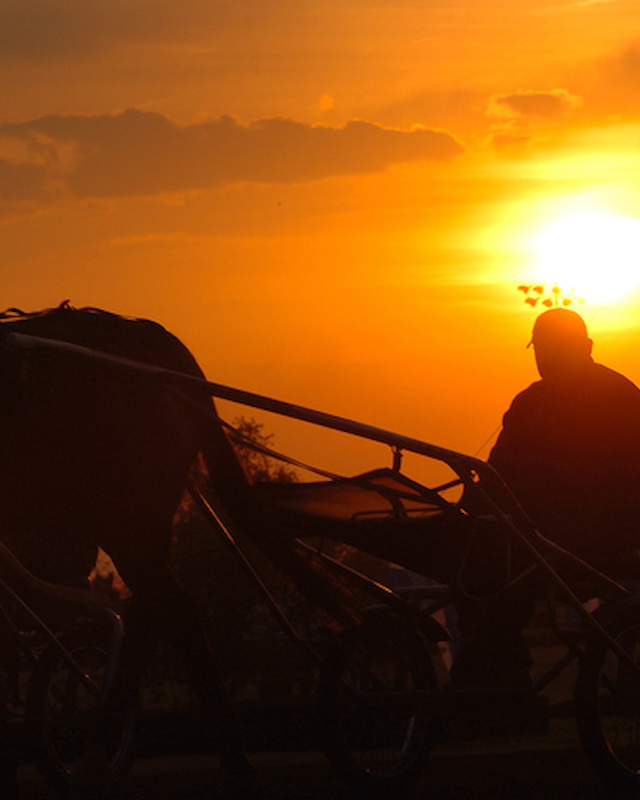 Silhouette of a carriage ride at Preserve Resort & Spa against a vibrant sunset backdrop, offering an enchanting evening excursion.