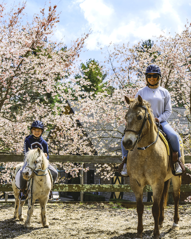 Children experience pony rides at The Preserve Resort & Spa with a beautiful blossom backdrop, embracing the joys of nature.