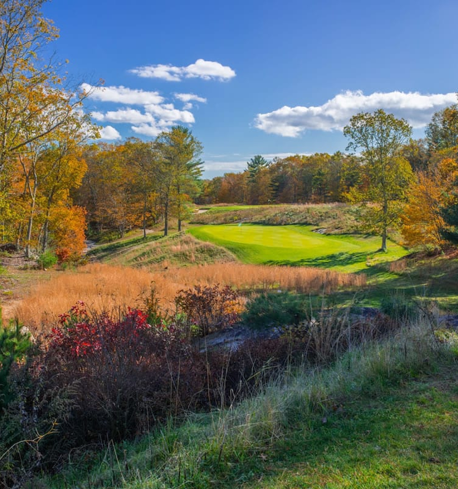 The image shows a scenic landscape with a lush green field surrounded by colorful autumn trees, under a bright blue sky with some clouds.