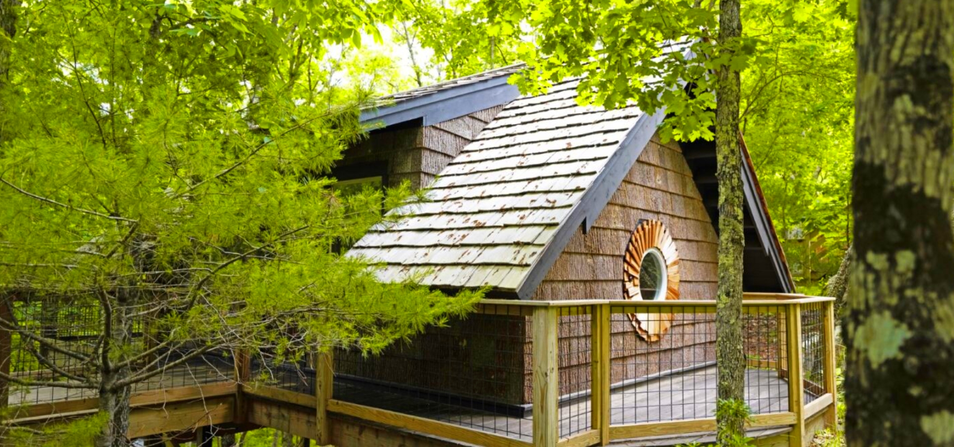 A serene treetop spa cabin at The Preserve Resort & Spa