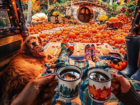 Two people with cups of tea, a dog, and numerous pumpkins in an outdoor setting, seen from inside a van.