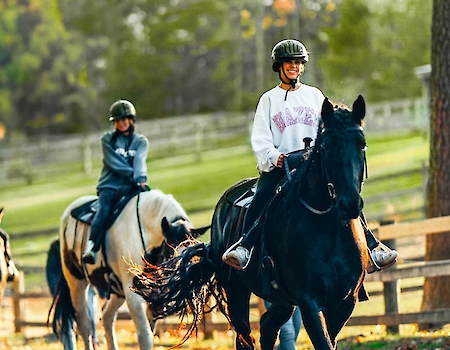 People are riding horses along a trail, wearing helmets and casual clothes, with a wooden fence and trees in the background.