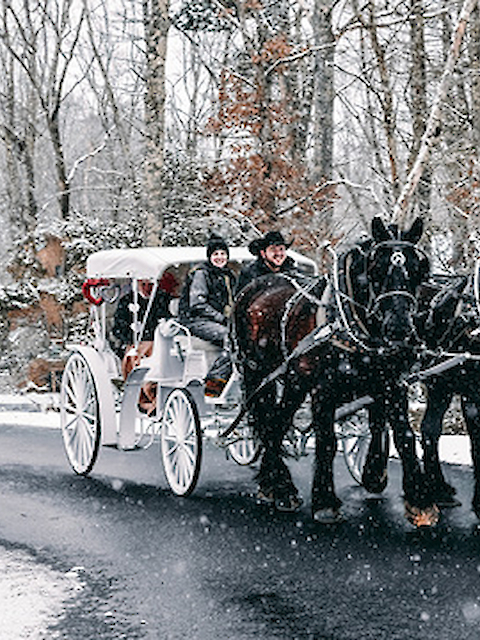 A horse-drawn carriage with two passengers travels along a snowy road, surrounded by bare trees and light snowfall.