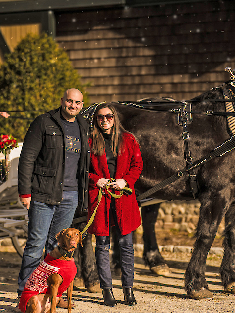 A couple with a dog in festive attire stands by a horse-drawn carriage, with another person driving.