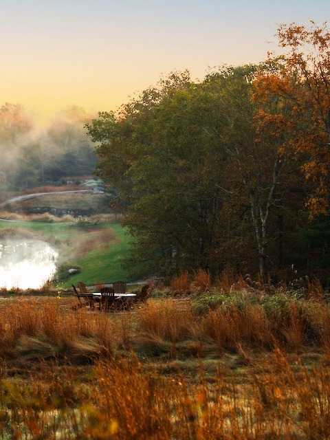 A serene autumn landscape with mist over a pond, surrounded by colorful trees and a field with a picnic table at sunrise.