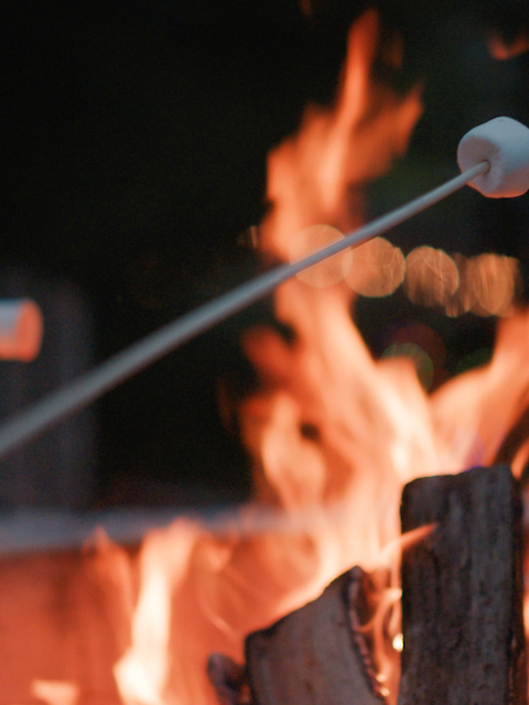 Two marshmallows on sticks being roasted over an open outdoor fire pit, against a dark background.